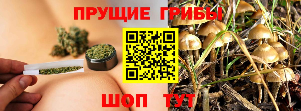 Галлюциногенные грибы мицелий Бахчисарай